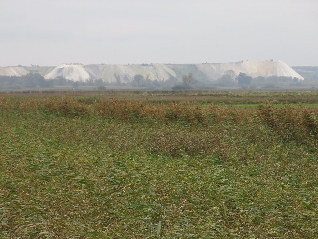 08.jpg