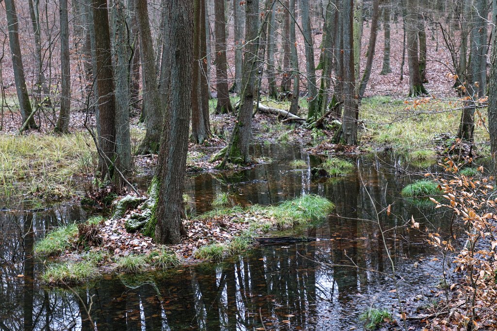 06.jpg