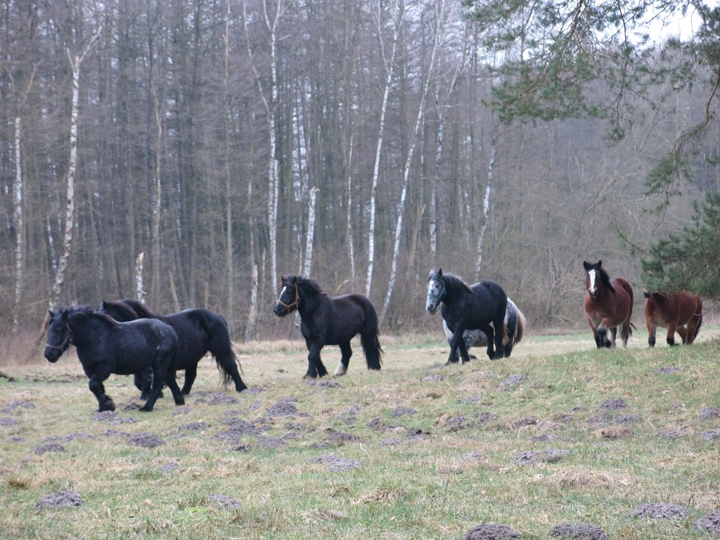 05.jpg
