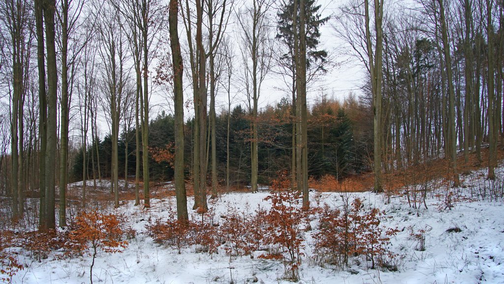 06.jpg