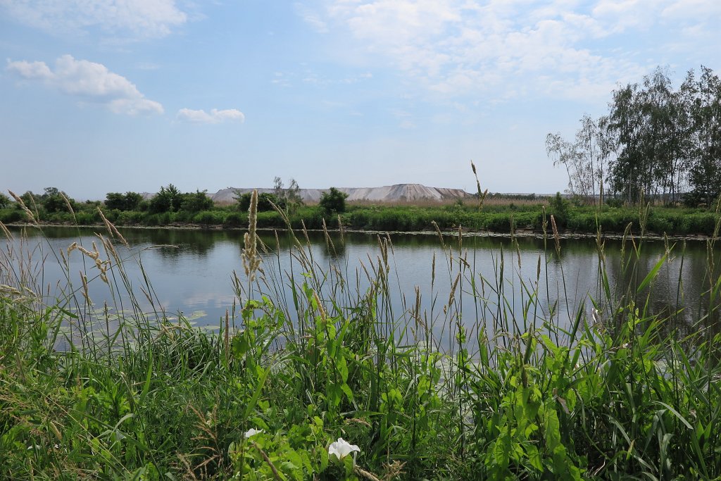 06.jpg