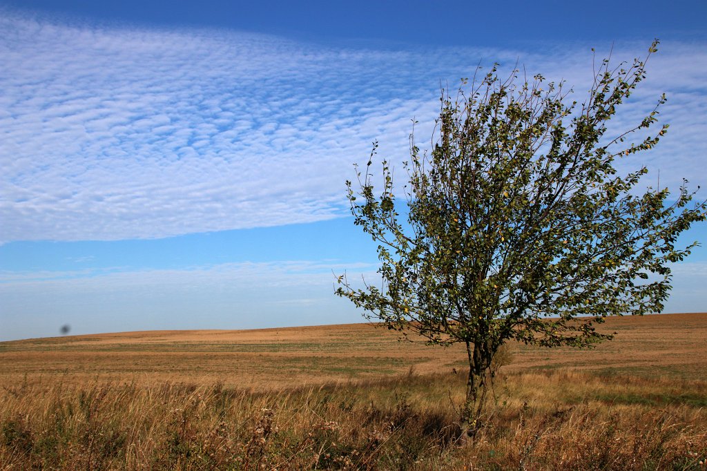 03.jpg