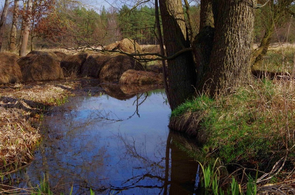 06.jpg