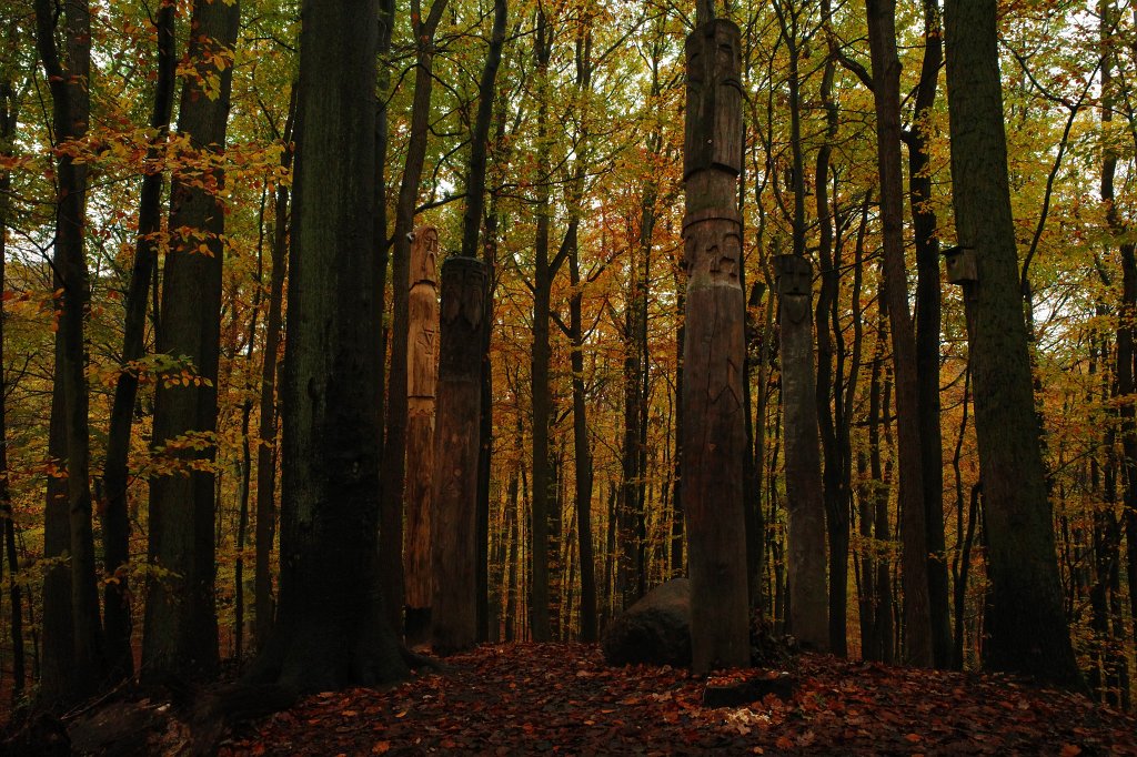 05.jpg