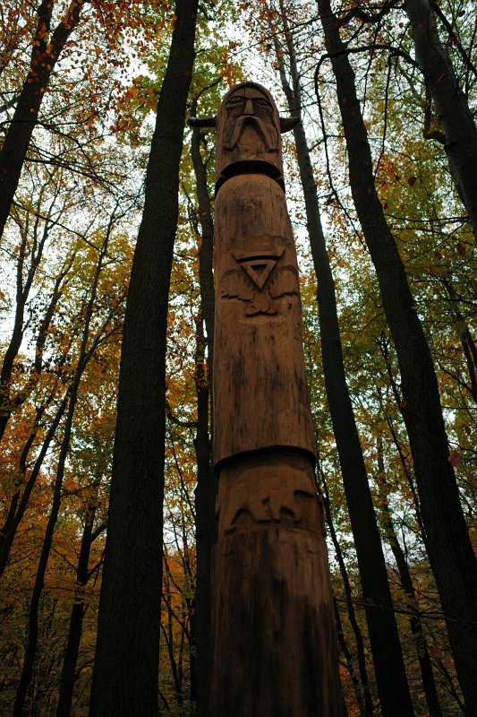 06.jpg
