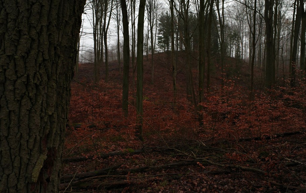 05.jpg