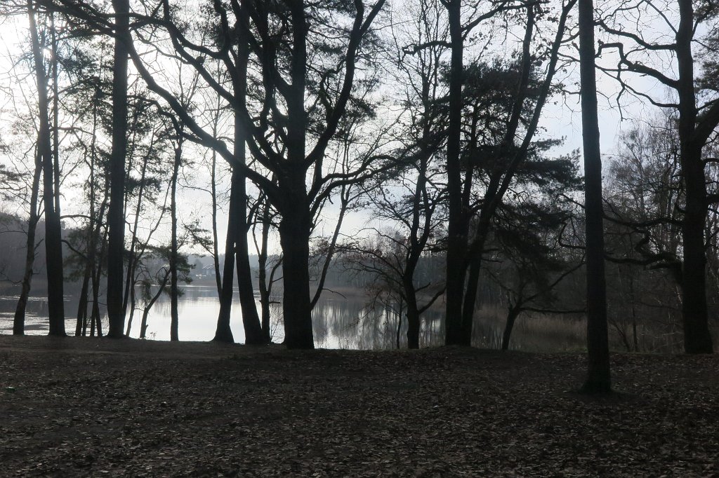 02.jpg