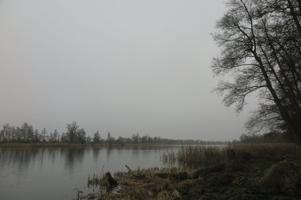 04.jpg