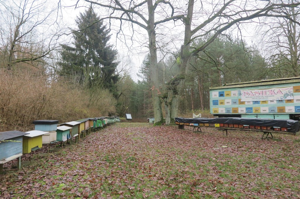05.jpg