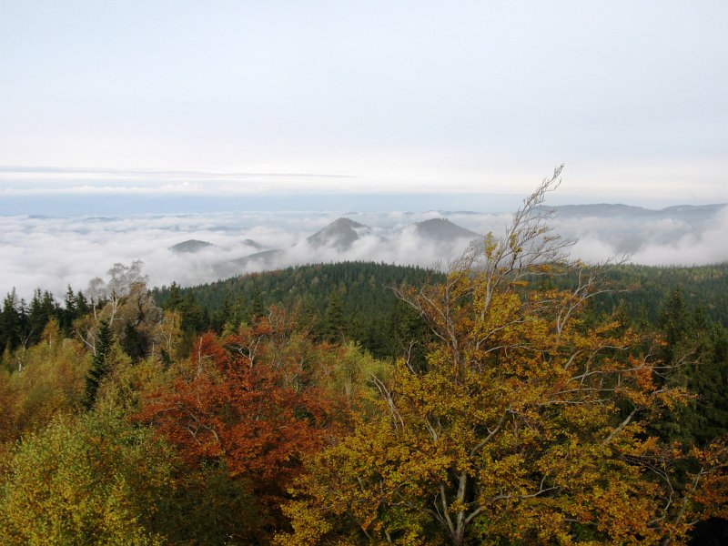 06.jpg