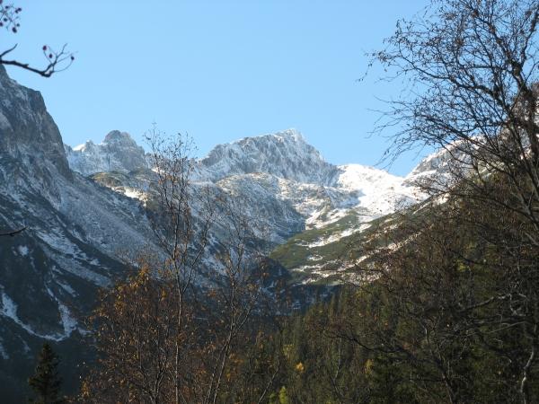 04.jpg