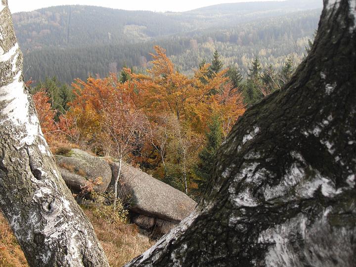 18.jpg - Barwy jesieni.