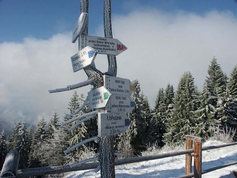 09.jpg
