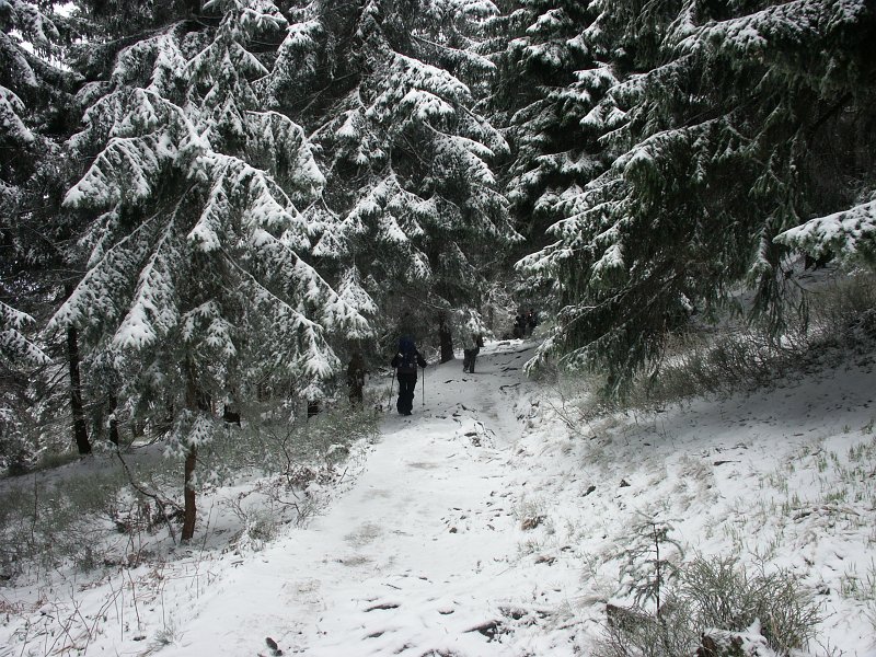 12.jpg - Na śnieg i mróz…