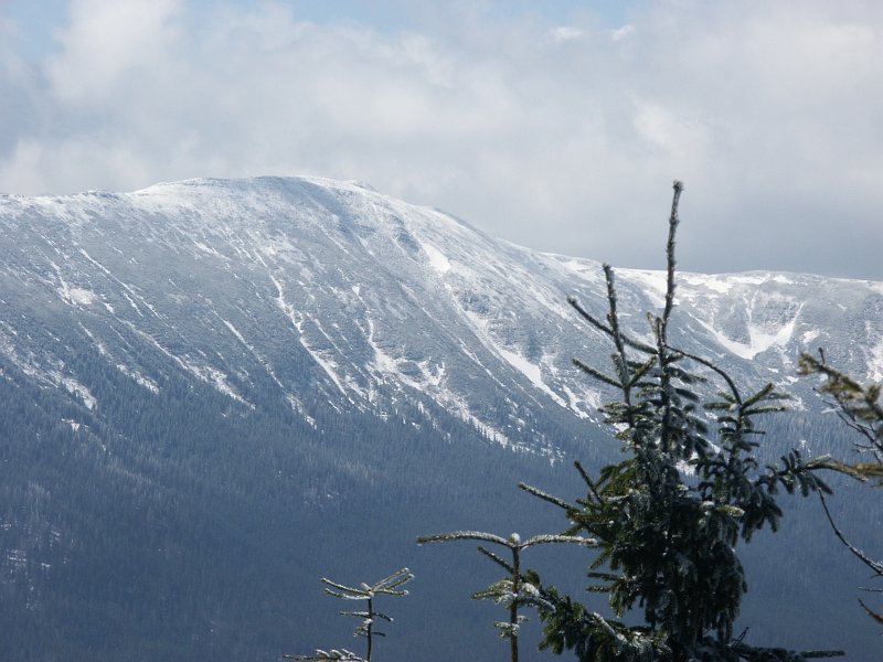 34.jpg - Babia.