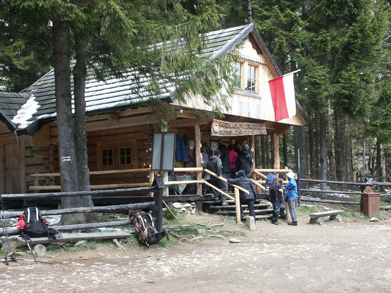 37.jpg - Krowiarki.