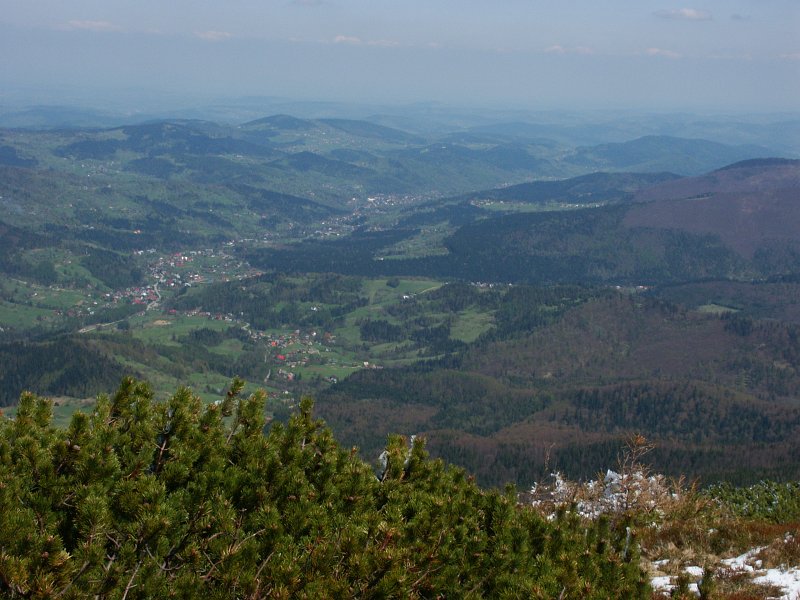 44.jpg - Zawoja.
