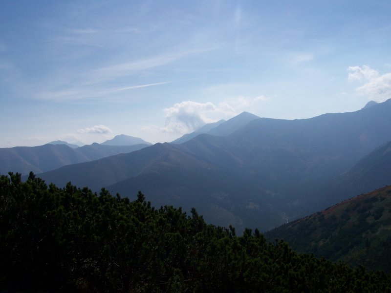 01.jpg - Widok z Grzesia.