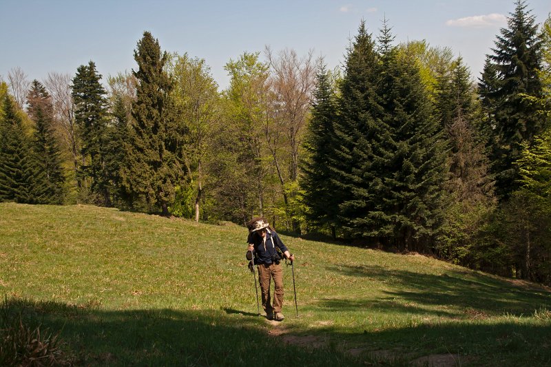 29.jpg - Zmierzamy do Schroniska Przehyba.