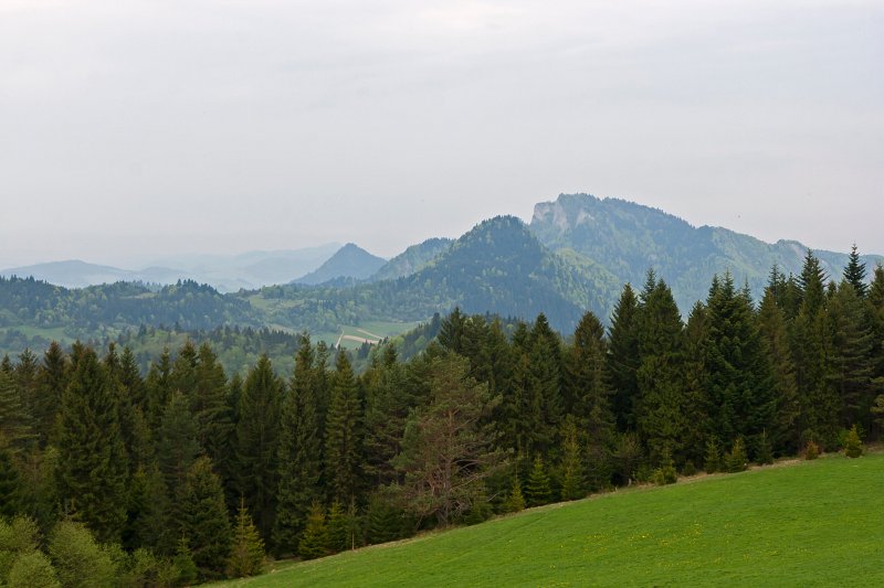 60.jpg - Sokolica (747m) w Pieninach.