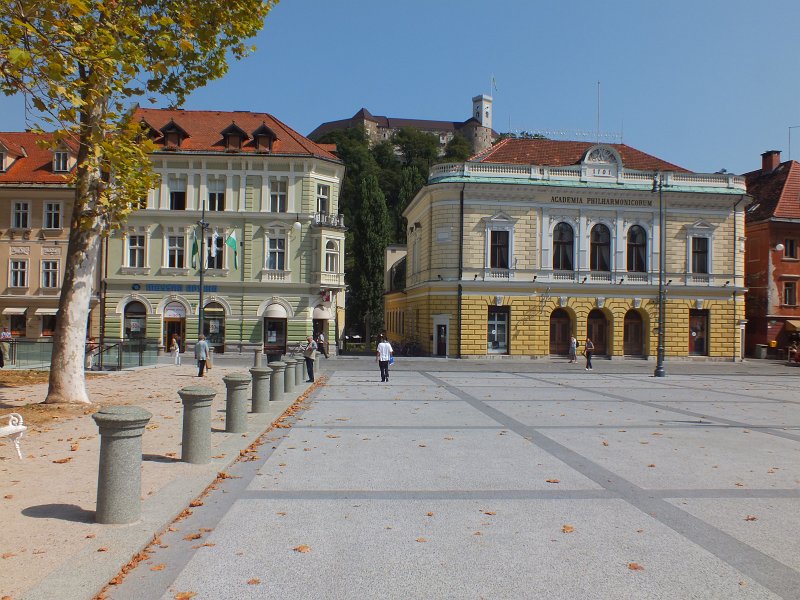 131.jpg