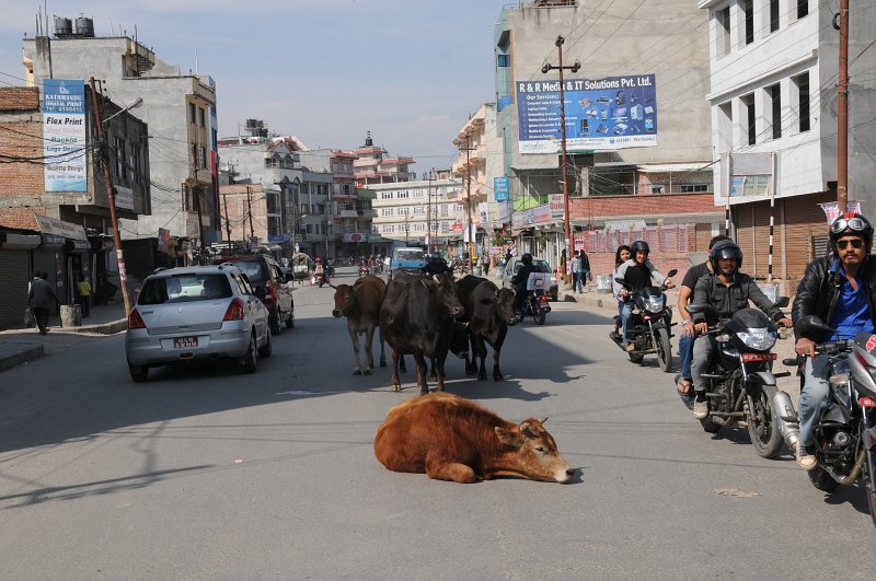 102.jpg - Powrót do Kathmandu.
