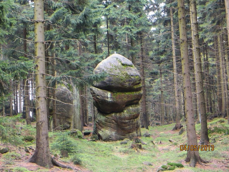 51.jpg - Ostaniec.