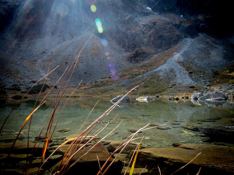 12.jpg - Oczarowanie.