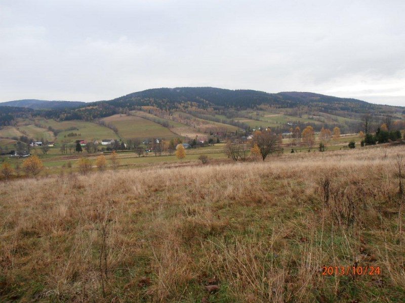 06.jpg