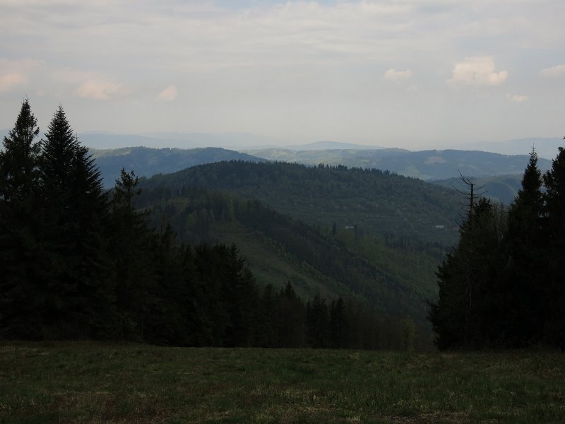 55.jpg