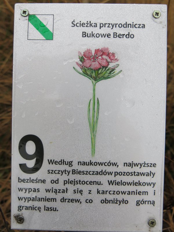 55.jpg