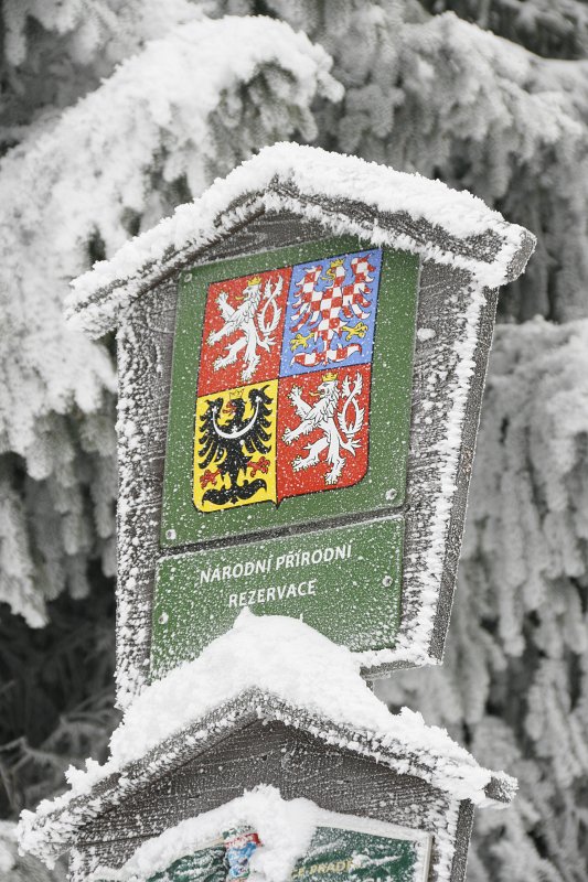 13.jpg - Jesteśmy w Narodowym Rezerwacie Przyrody.