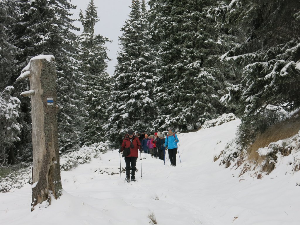 14.jpg - Schodzimy niebieskim szlakiem do Karlowej Studzienki.