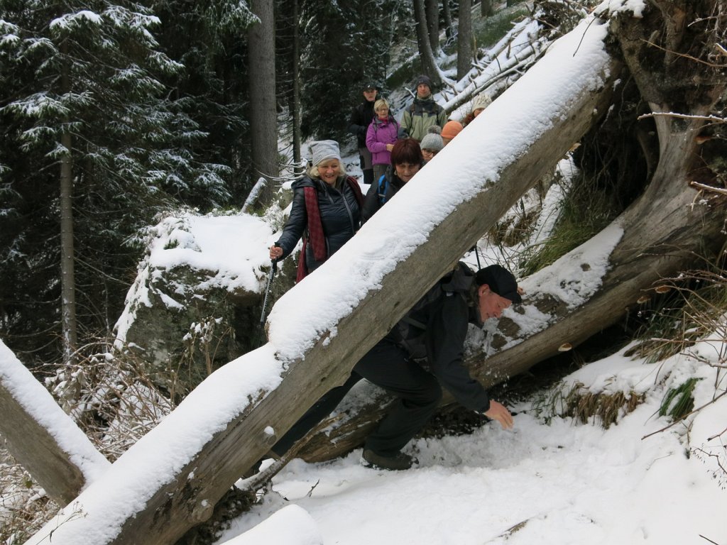 21.jpg - Szlak z przeszkodami, trzeba się trochę pogimnastykować.