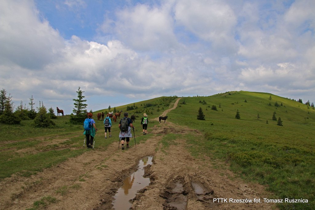086.jpg - Wróciliśmy w Bieszczady.