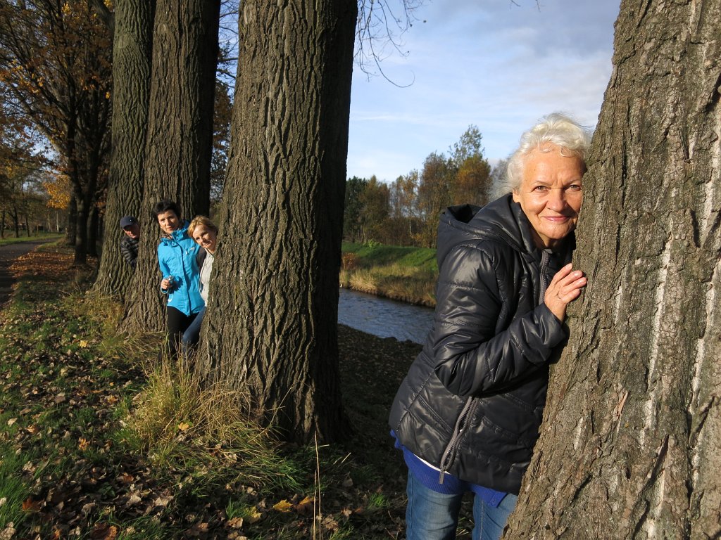 04.jpg - W jesiennych promieniach słońca.