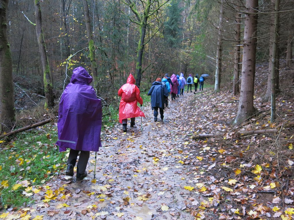 74.jpg - Siąpiło, trasa po błocie.
