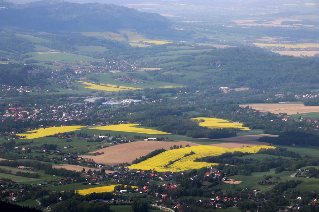 011.jpg - Majowo, rzepakowo.