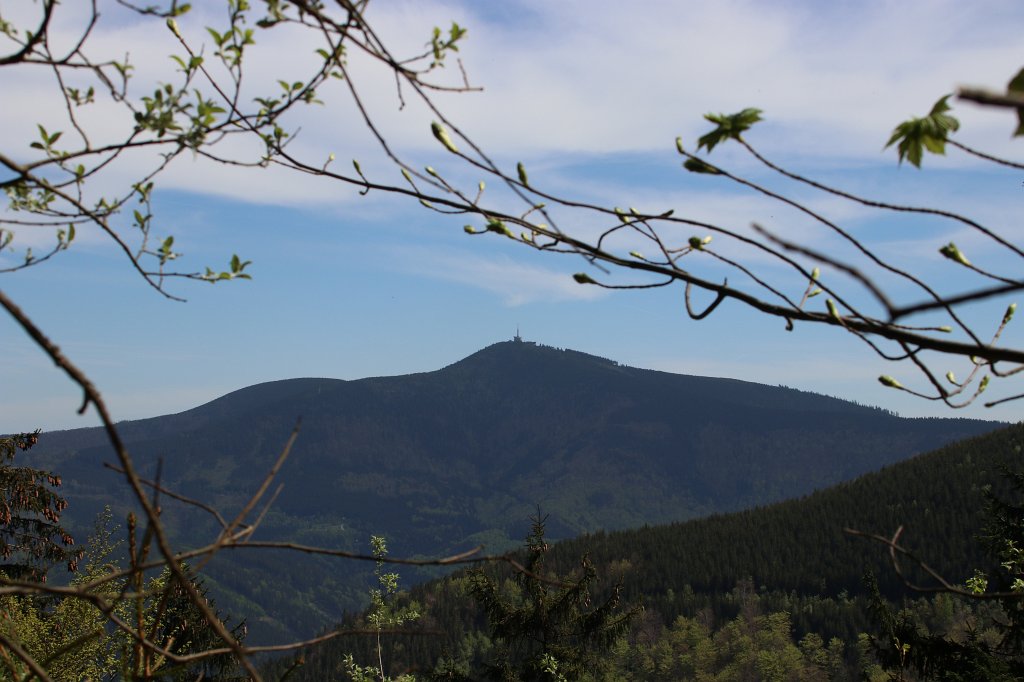 040.jpg - Widok na Łysą Górę.
