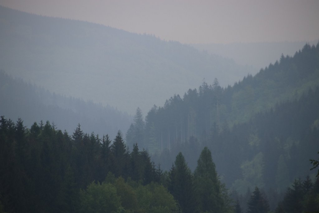 103.jpg